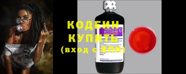 ГАЛЛЮЦИНОГЕННЫЕ ГРИБЫ Вяземский
