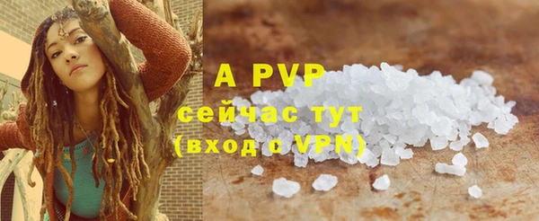 стафф Вязьма