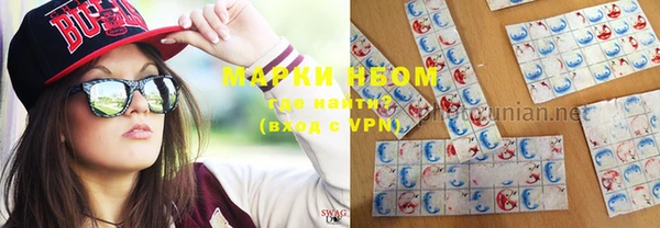 стафф Вязьма