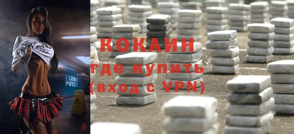 ГАЛЛЮЦИНОГЕННЫЕ ГРИБЫ Вяземский