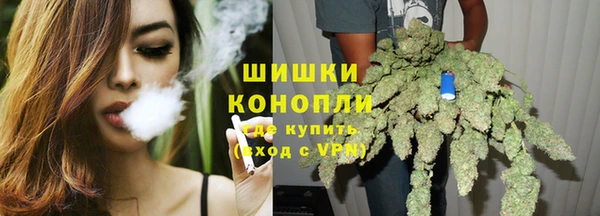 стафф Вязьма